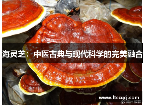 海灵芝：中医古典与现代科学的完美融合